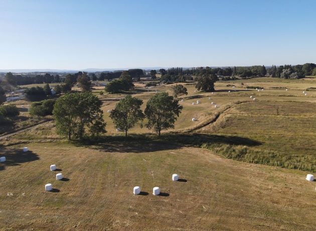 X Los Lagos, ,Campo,Parcelas Agro Residenciales,1044
