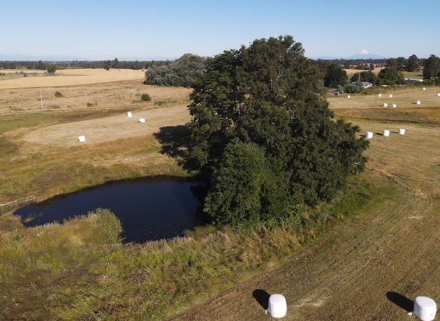 X Los Lagos, ,Campo,Parcelas Agro Residenciales,1044