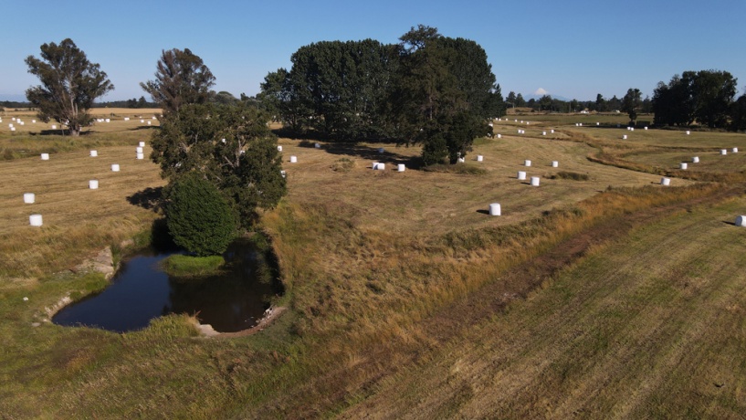 X Los Lagos, ,Campo,Parcelas Agro Residenciales,1044