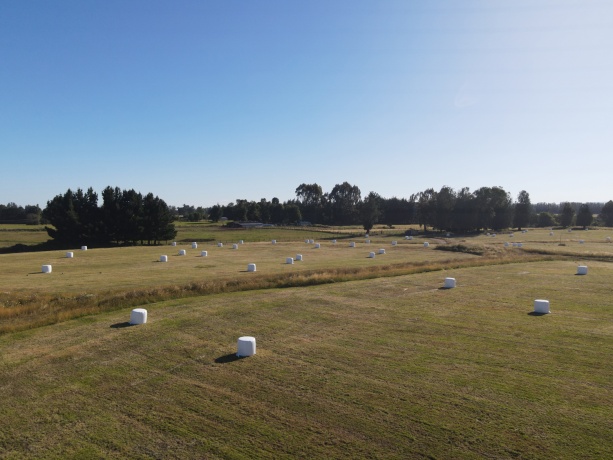 X Los Lagos, ,Campo,Parcelas Agro Residenciales,1044