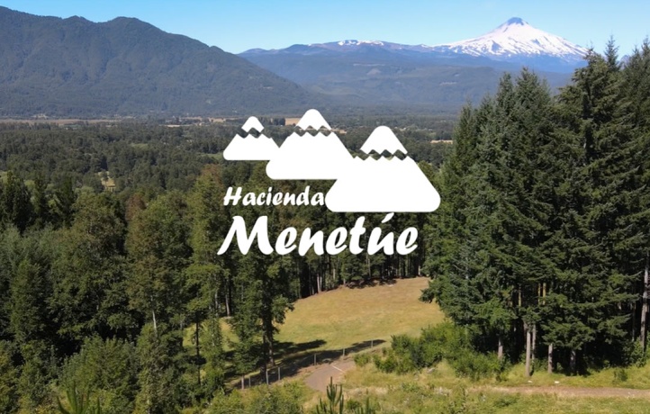 IX Araucanía, ,Lago,Parcelas Agro Residenciales,1046